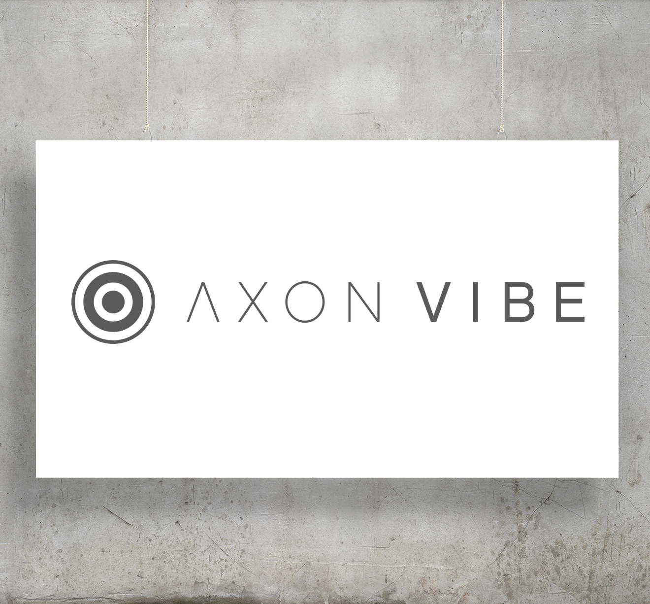 axon vibe company profile