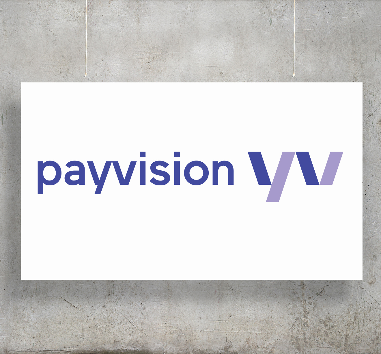 Company Profile - Payvison